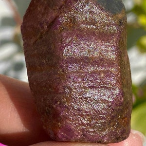 May include: A rough, dark red ruby gemstone with a natural, irregular shape. The ruby has a deep, rich color and a slightly iridescent sheen.