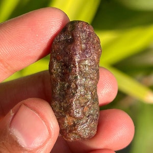 May include: A rough, dark red ruby gemstone with a natural, irregular shape. The ruby has a deep, rich colour and a slightly metallic sheen.