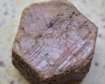 Large Ruby Record Keeper Crystal – 1151 Carat Sacred Geometry Stone