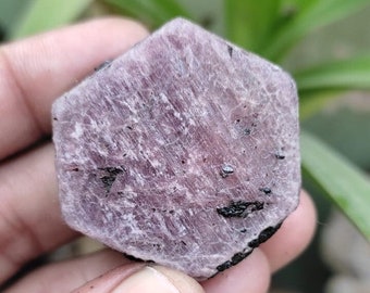 Könnte beinhalten: Ein sechseckiger, grob geschliffener Edelstein mit einem rötlich-violetten Farbton. Der Stein hat eine strukturierte Oberfläche mit dunklen Einschlüssen und wird in einer Hand vor einem Hintergrund aus grünem Laub gehalten. Der Edelstein ist ein natürliches Mineral.
