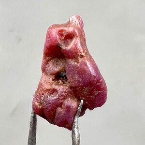 Puede incluir: Una gema de rubí en bruto, sin cortar, sujeta con pinzas metálicas. El rubí es de un color rojo intenso, con una superficie ligeramente irregular. La gema tiene una forma natural y orgánica, con texturas visibles.
