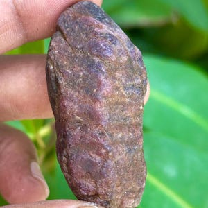 May include: A rough, uncut ruby gemstone held between fingers. The ruby has a deep red-brown color with a textured surface. The gemstone is irregularly shaped, showcasing its natural, unpolished state. The background is blurred green foliage.
