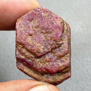 May include: A rough-cut ruby gemstone with a deep red hue and golden-brown inclusions. The natural stone has a layered appearance and a slightly irregular shape, showcasing its raw, unpolished state. The gemstone is held between fingers.