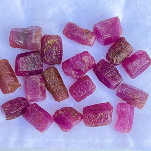 Natural Ruby Rough Precious Ruby Sticks Shape 19 Pieces Lot Fine Quality Raw Ruby Raw Healing Crystal Minerals July Birthstone 91.0 Carat