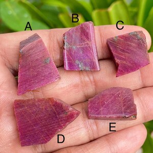 Op de afbeelding: Vijf ruwe robijn edelstenen in verschillende vormen. De edelstenen hebben een diepe, levendige roodroze kleur, met zichtbare natuurlijke texturen en insluitsels. De stenen worden in een hand gehouden tegen een vage groene achtergrond.