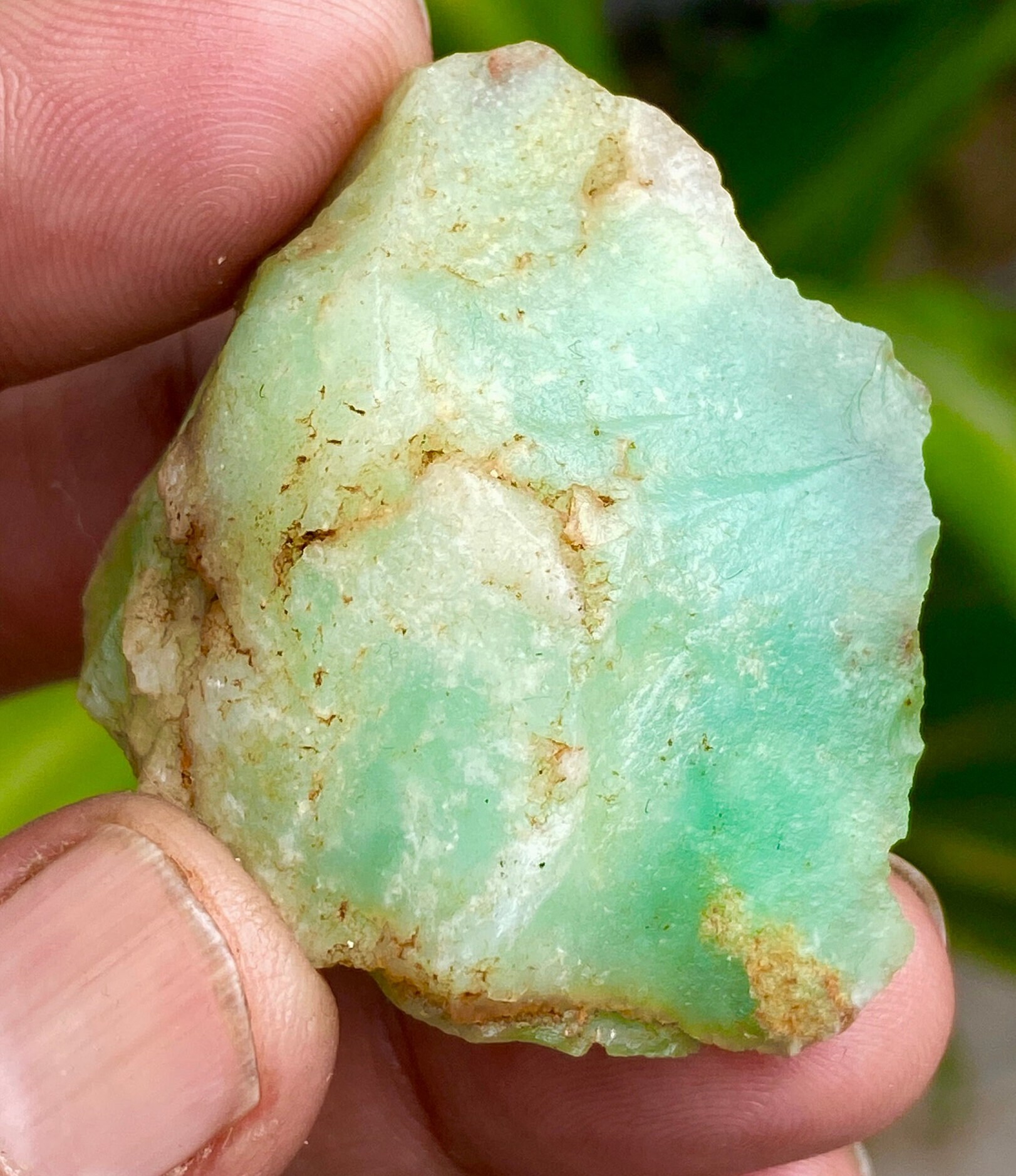 Chrysoprase Raw Stone Australian Chrysoprase Rough Green