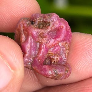 Può includere: Una pietra preziosa di rubino rosa grezza con una tonalità rosso intenso. Il rubino ha un aspetto naturale non lucidato ed è un bellissimo esempio di pietra preziosa grezza.
