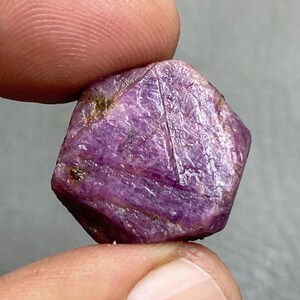 May include: A raw ruby gemstone, held between fingers. The ruby has a deep, purplish-red colour with visible natural inclusions and a rough, unpolished texture. The gemstone's shape is irregular, with multiple facets.