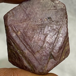 May include: A raw, uncut ruby gemstone in a deep reddish-purple colour. The stone's surface displays natural lines and patterns, creating a unique, textured look. The ruby is held between fingers, highlighting its raw, natural beauty.
