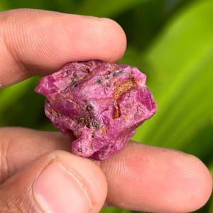 Op de afbeelding: Een diep roze robijnkristal met een ruwe, natuurlijke textuur. Het kristal heeft een licht metalen glans en is een prachtig voorbeeld van een ruwe edelsteen.