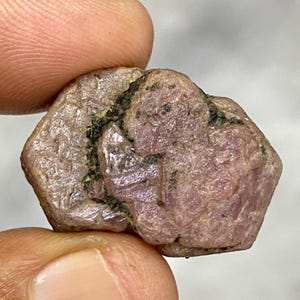 May include: A rough, uncut ruby gemstone with a pinkish-red hue. The natural stone has a textured surface with dark gray and black inclusions. The ruby is held between two fingers.