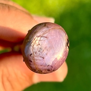 May include: Close-up of a small, round, pinkish-purple object held in a hand. The object has a smooth, slightly textured surface with darker veins and a small, dark spot. The background is blurred green.