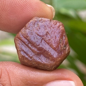 May include: A raw, reddish-brown gemstone with a textured surface. The gem is held between fingers, highlighting its natural, unpolished state. The stone has a hexagonal shape and appears to be a raw mineral specimen.