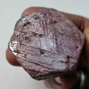 Puede incluir: Una gema de rubí en bruto, sin cortar, sostenida en una mano. El rubí tiene un color rojo púrpura intenso con textura superficial visible e inclusiones oscuras. La forma irregular y el aspecto natural de la piedra son prominentes.