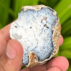 Natural Dendritic Opal Rough Gemstone, Dendritic Opal Raw, Dendritic Opal Slab, Healing Dendritic Opal Specimen Gorgeous Design 317 Carat