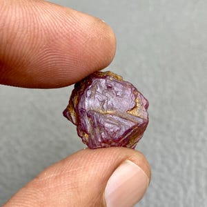 Puede incluir: Una gema de rubí en bruto, sin cortar, sostenida entre los dedos. El rubí es de un color rojo púrpura intenso con acentos dorados. La superficie de la piedra tiene una textura rugosa y cristalina.