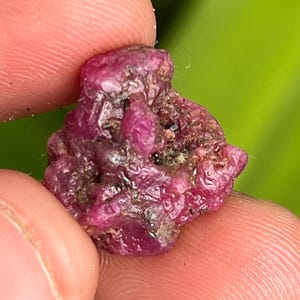 Puede incluir: Un cristal de rubí rojo intenso con una superficie rugosa y natural. El cristal es un grupo de cristales más pequeños que han crecido juntos.