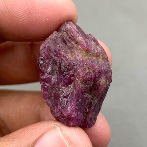 Peut inclure: Une pierre précieuse brute de rubis non taillé. Le rubis est d'un rouge profond et riche avec une texture visible et des imperfections naturelles. La pierre est tenue entre les doigts, mettant en valeur sa beauté naturelle.