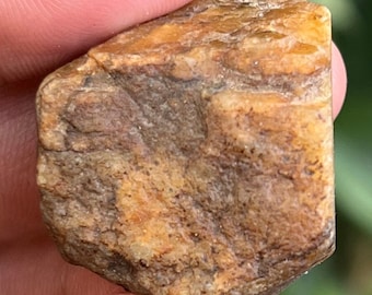 Natural Yellow Sapphire Specimen: Untreated Record Keeper Crystal, 153.7 Carat