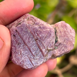 May include: A rough, pink ruby crystal with a deep red hue and striations. The crystal has a natural, unpolished appearance.