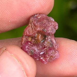May include: A rough, uncut ruby gemstone, held between fingers. The ruby is a deep, rich red color with a slightly uneven surface. The gemstone has a natural, unpolished appearance, showcasing its raw form.