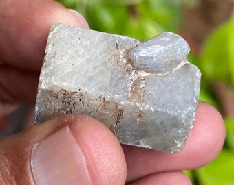 Blauwe saffier onbewerkt kristal - Geboortesteen, bi-saffierkristal Ruwe onbehandelde blauwe saffier helende steen saffiermonster 156,80 karaat