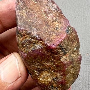Può includere: Una gemma di rubino grezza, non tagliata, con una miscela di tonalità rosse, marroni e dorate. La superficie ha un aspetto strutturato, con aree di rosso intenso e scaglie d'oro scintillanti. La pietra è tenuta in una mano.