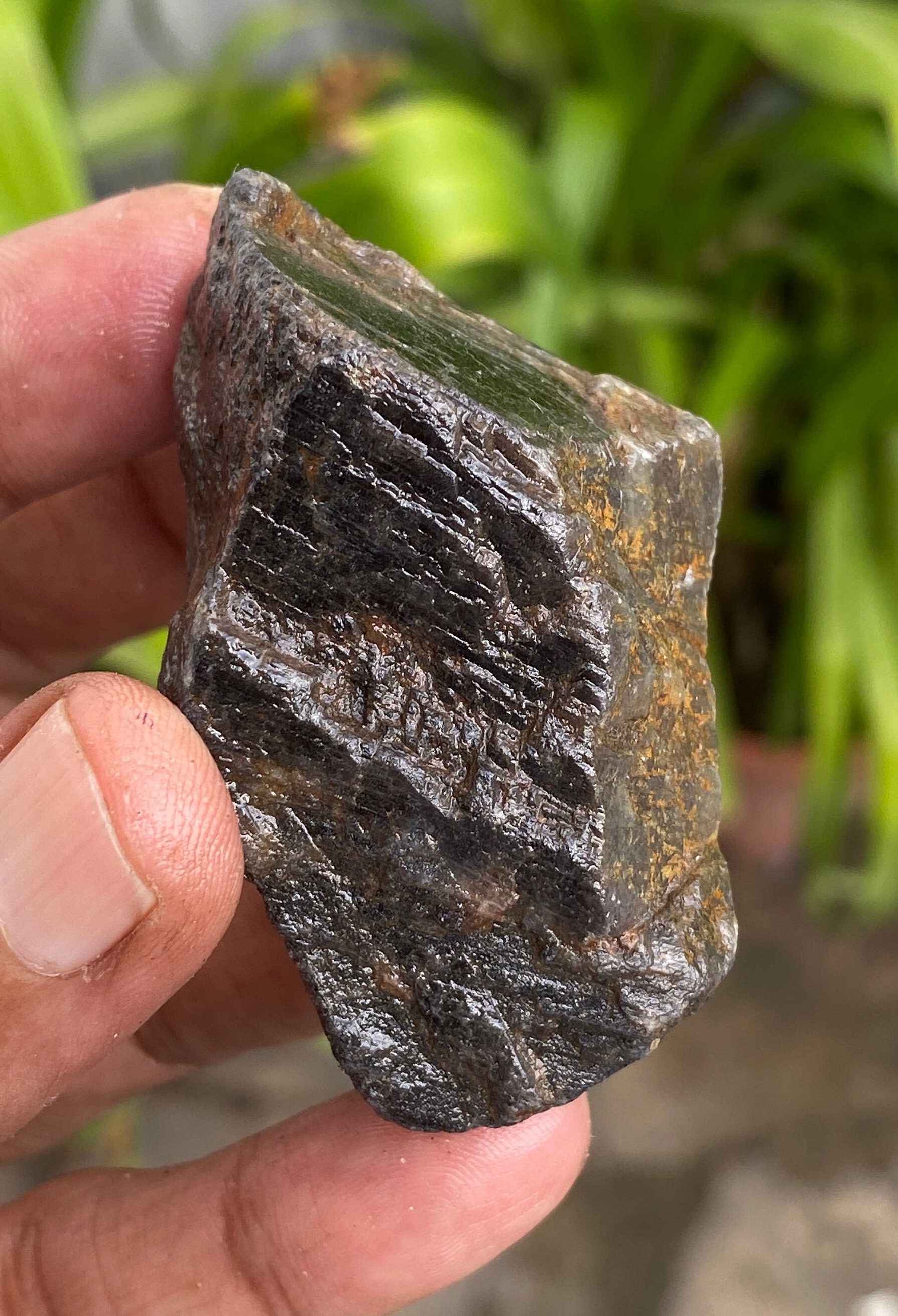 Saphir noir naturel brut, saphir noir, spécimen de saphir très