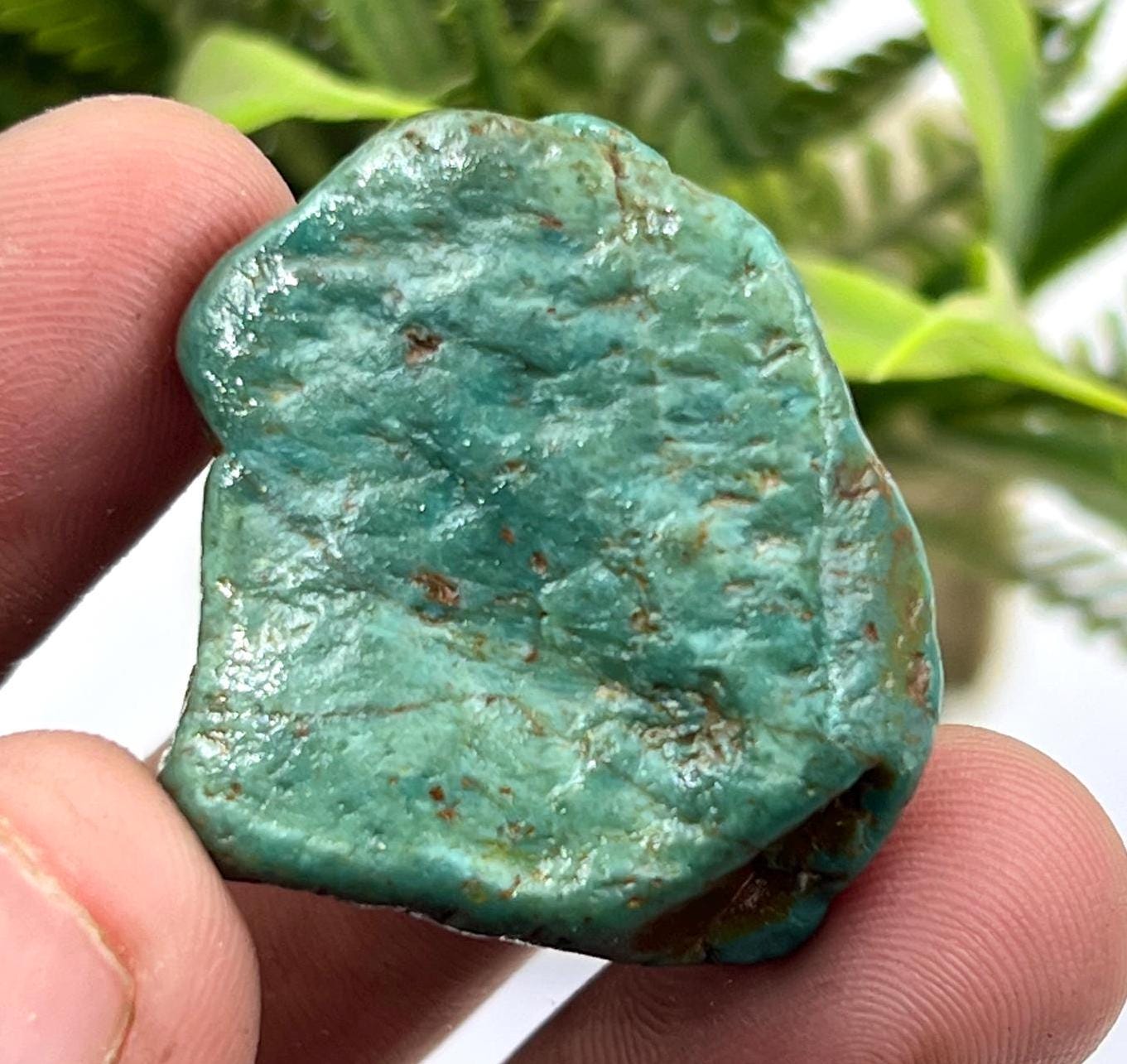 アリゾナ産ターコイズ原石標本：63.70カラットのキングマンクリスタル