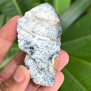Natural Dendritic Opal Rough Gemstone, Dendritic Opal Raw, Dendritic Opal Slab, Healing Dendritic Opal Specimen Gorgeous Design 219.5 Carat