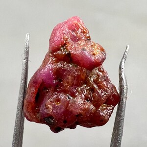 May include: A rough, uncut ruby gemstone held by silver tweezers. The ruby has a deep red color with areas of lighter pink and brown. The surface is textured and irregular, showcasing its natural form. This gemstone is suitable for jewelry making.