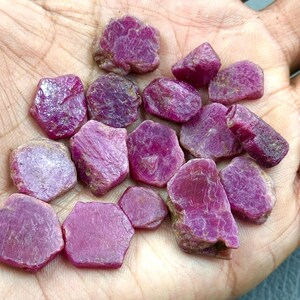 Peut inclure: Plusieurs pierres précieuses de rubis brutes, non taillées, de formes et tailles variées. Les rubis présentent une teinte rouge-rosé intense, avec des textures et facettes naturelles visibles. Les pierres sont tenues dans une main.