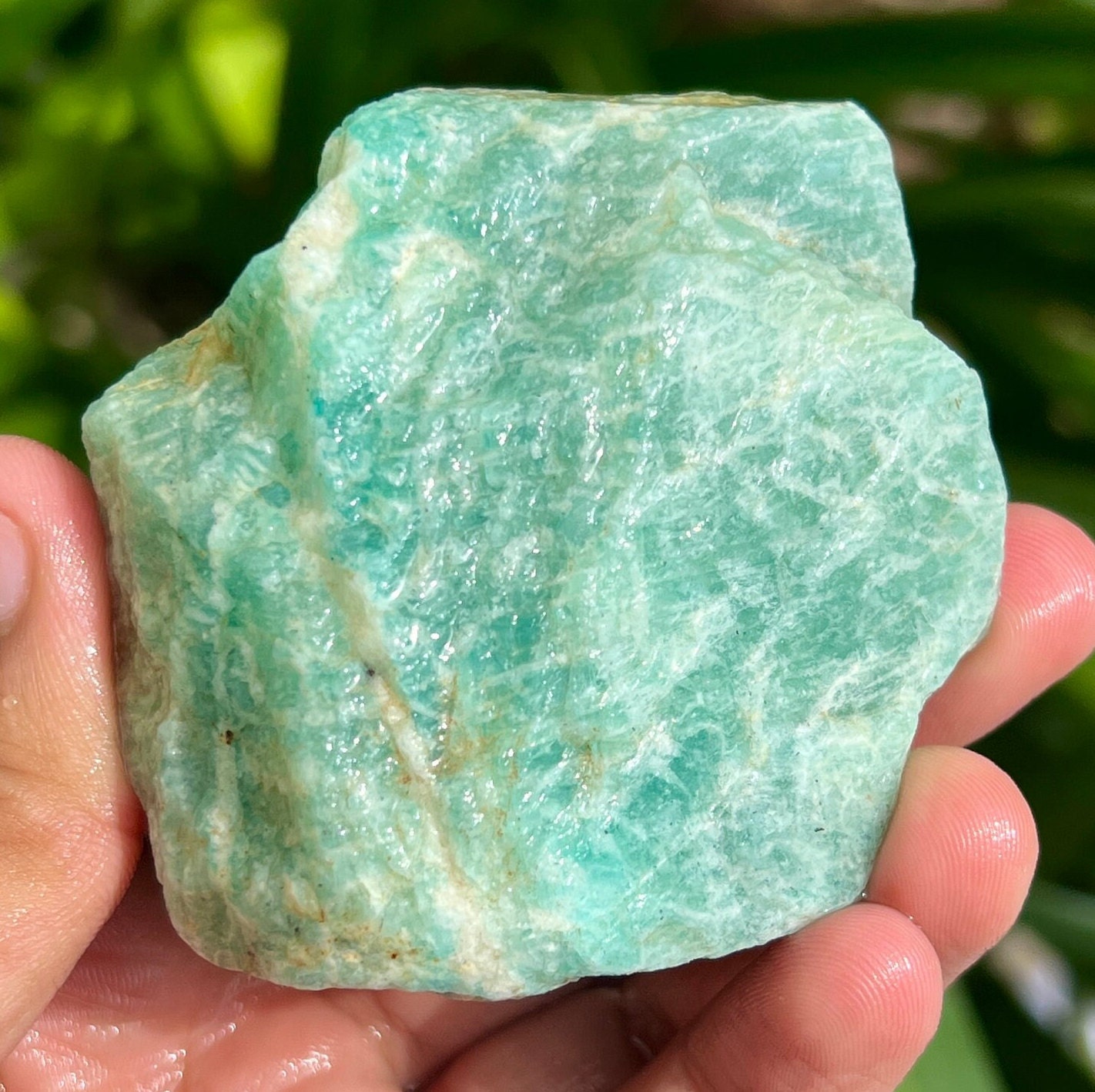 Natural Amazonite Rough, Large Healing Crystal Specimen (877.0