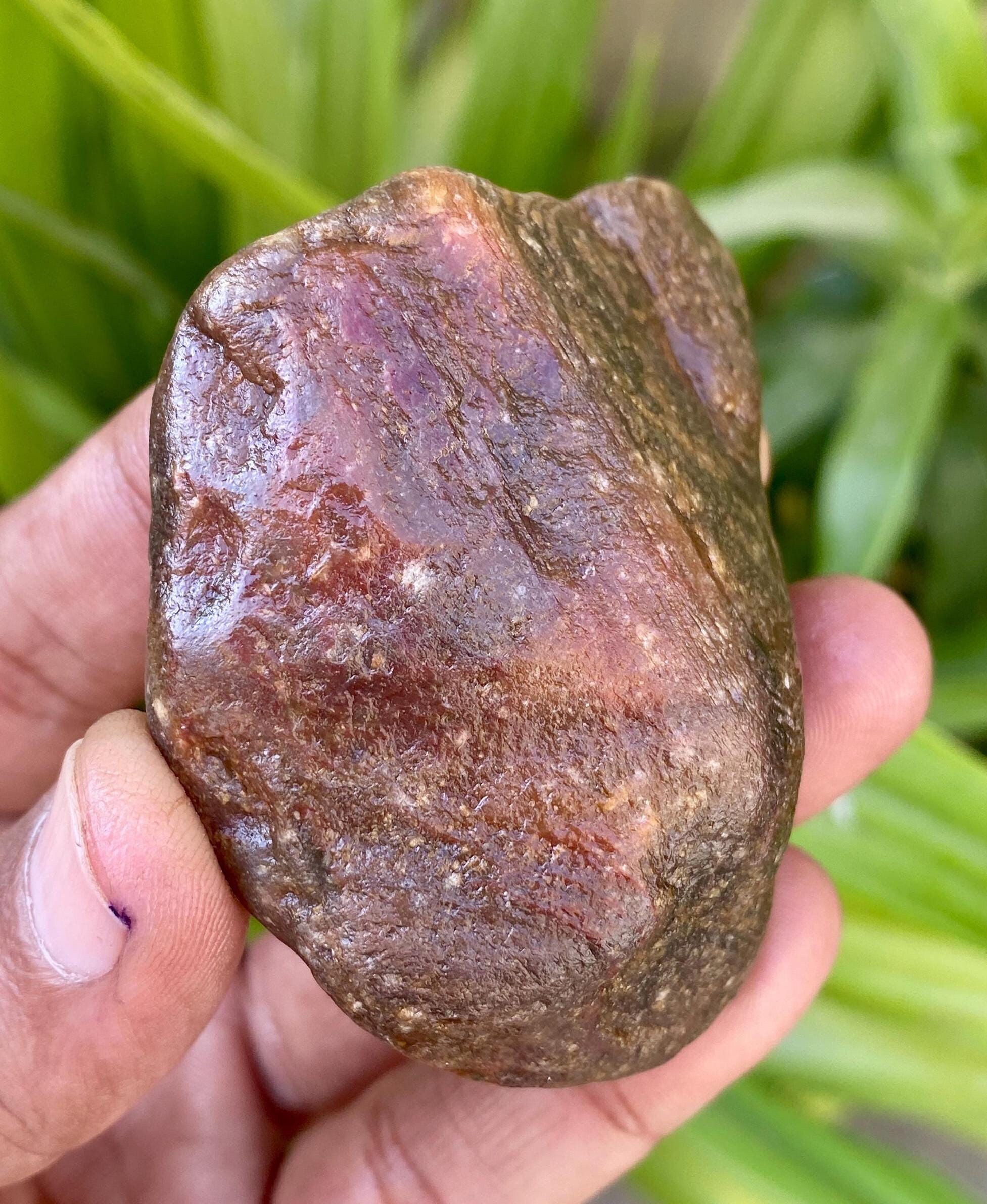 Natural Golden Sheen Sapphire Raw Specimen: 900 Carat Rough
