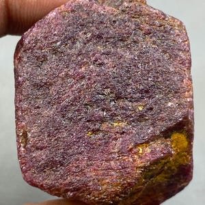 Può includere: Una gemma di rubino grezza e non tagliata, di colore rosso intenso. La superficie ha un aspetto strutturato con variazioni di colore, tra cui aree di rosso più scuro e sfumature di giallo. La pietra è tenuta da una mano.