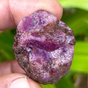Può includere: Una gemma di rubino grezza e non tagliata, con una tonalità rosso-rosata intensa. La pietra naturale ha una superficie strutturata con aree più scure, brunastre. Il rubino è tenuto tra le dita, mostrando la sua forma grezza e non lucidata.