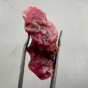 May include: A rough, uncut ruby gemstone with a deep red hue, held by metal tweezers. The ruby has a textured surface with small dark inclusions. The gemstone's irregular shape is visible, showcasing its natural form.