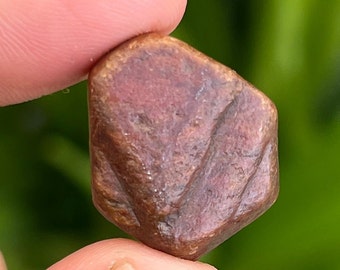 Record Keeper Yellow Sapphire Rough Crystal: 32.6 Carat Untreated Gemstone