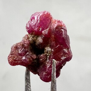 Peut inclure: Un brut de rubis rouge foncé, maintenu par une pince. La pierre précieuse présente une surface irrégulière et non polie. Le rubis naturel est d'une couleur riche et saturée, montrant sa forme brute et non taillée.