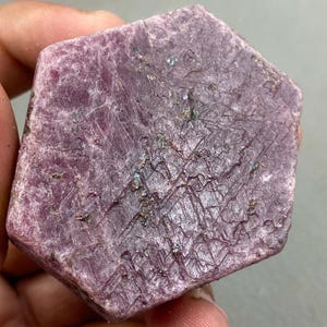 Könnte beinhalten: Ein sechseckiger, grob geschliffener Rubin-Edelstein. Der Stein hat einen tiefen, rötlich-rosa Farbton mit sichtbaren Oberflächenstrukturen und natürlichen Unvollkommenheiten. Der Edelstein wird in einer Hand gehalten und zeigt seinen rohen, unpolierten Zustand. Einzigartiges Exemplar.