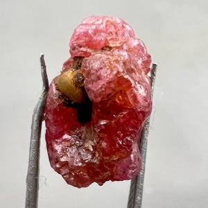 Puede incluir: Una gema de rubí en bruto, sin cortar, sujeta con pinzas metálicas. El rubí es de color rojo intenso con un tinte ligeramente rosado en algunas zonas. La superficie de la piedra tiene un aspecto texturizado e irregular.