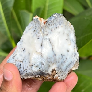 Natural Dendritic Opal Rough Gemstone, Dendritic Opal Raw, Dendritic Opal Slab, Healing Dendritic Opal Specimen Gorgeous Design 520 Carat