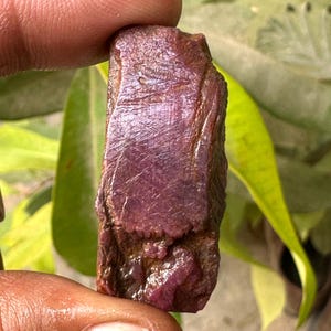 Può includere: Una gemma di rubino grezza, non tagliata, di un colore rosso-viola intenso. La pietra naturale ha una superficie strutturata con linee e imperfezioni visibili. Il rubino è tenuto tra le dita, con un fogliame verde sullo sfondo.