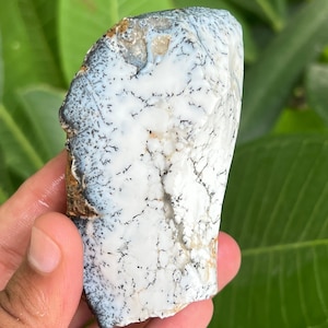 Natural Dendritic Opal Rough Gemstone, Dendritic Opal Raw, Dendritic Opal Slab, Healing Dendritic Opal Specimen Gorgeous Design 842 Carat