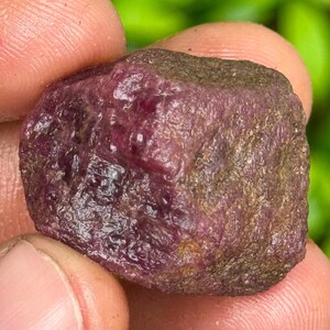 Puede incluir: Una gema de rubí en bruto, sin cortar, sostenida entre los dedos. El rubí tiene un color rojo-púrpura intenso y una superficie texturizada. La piedra muestra variaciones naturales de color y forma.