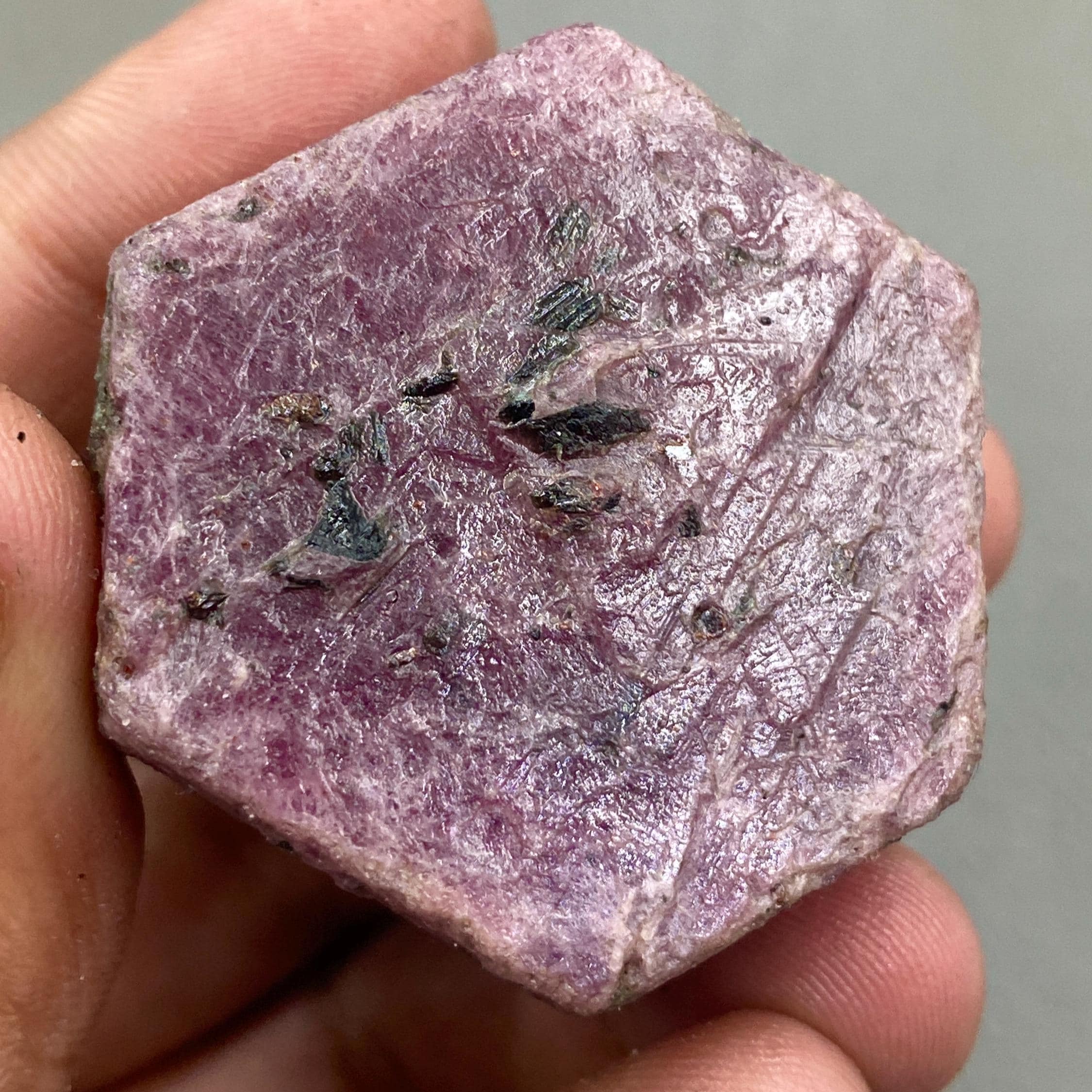 【Ruby】10点 Raw Purple Ruby Crystal – 442.70 Carat, Record Keeper Specimen