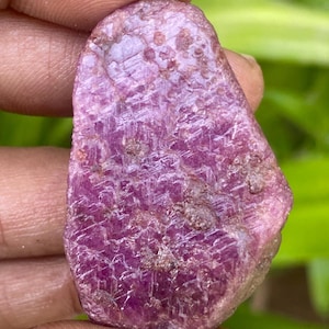 Può includere: Una pietra preziosa di rubino rosa grezza con una finitura naturale non lucidata. Il rubino ha un colore rosa intenso e ricco ed è un bellissimo esempio di questa pietra preziosa.
