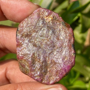 Op de afbeelding: Een ruwe, roze robijn edelsteen met een metallic glans. De steen heeft een natuurlijke, onbewerkte afwerking.
