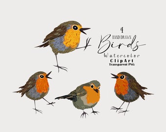Watercolor Robin Bird Clipart, Cute Colorful Bird Png, Digital Paper Craft, Handrawn Bird Clipart, Instant Download