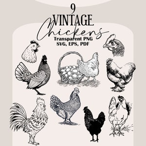 Huhn geschnitten Datei, Bauernhaus Dekor, Hand gezeichnetes Huhn, Vintage Huhn Illustration, Huhn Clipart, Hühner Rassen, Cricut Cut Datei